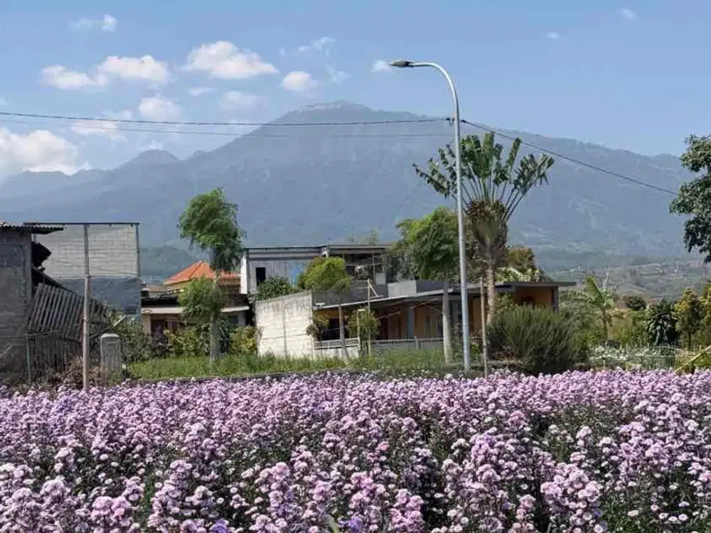 tanah villa kebun bunga siap bangun view gunung di kota batu