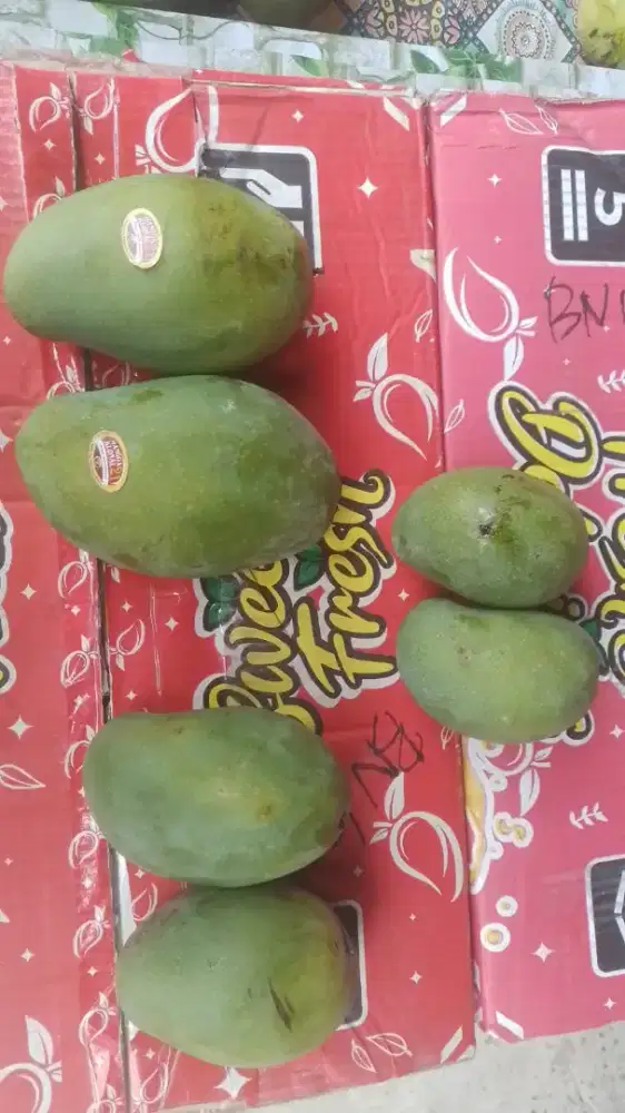 MANGGA HARUM MANIS MURAH..