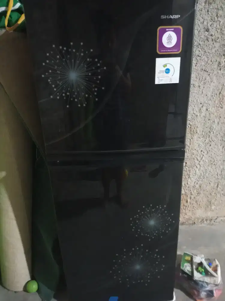 Kulkas sharp 2 pintu