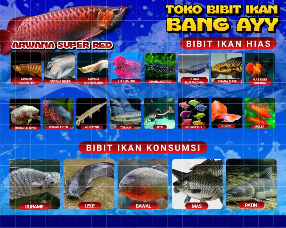 Toko bibit ikan