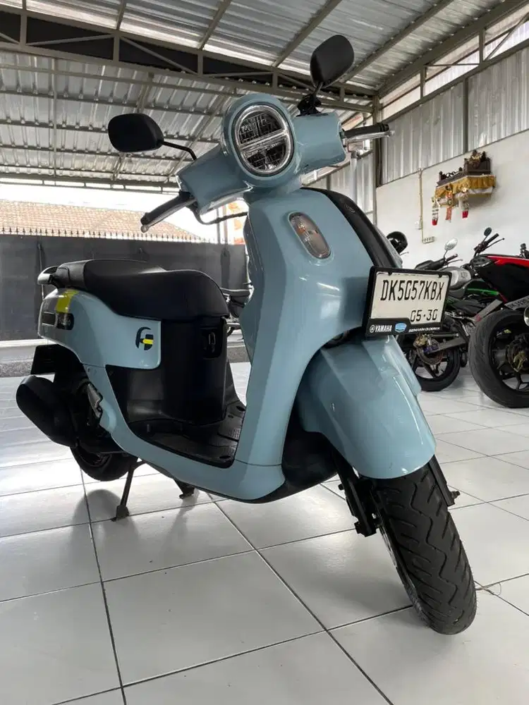 Fazzio 2024 dp 5 jt