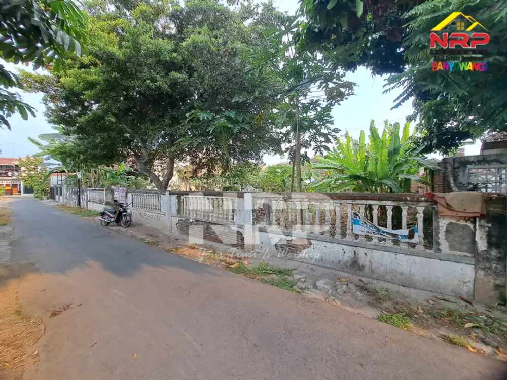 Dijual Tanah dan Bangunan Siap Bangun di Belakang SMAN 1 BANYUWANGI -Kertosari