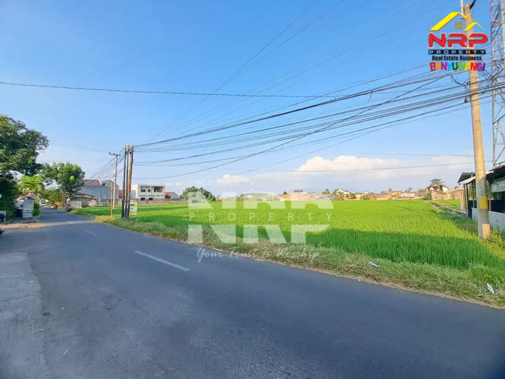 Dijual Tanah Luas Karangrejo - Banyuwangi