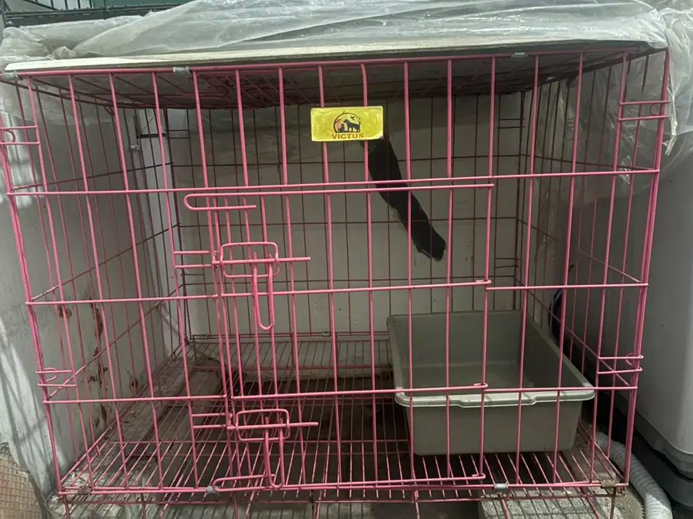Kandang Kucing ukuran Besar