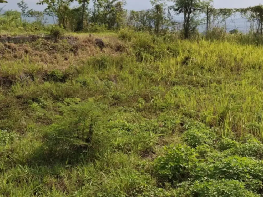 Dijual tanah Pacet  Mojokerto Jawa Timur