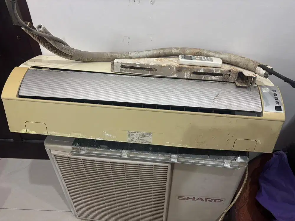 Ac sharp 1/2 PK
