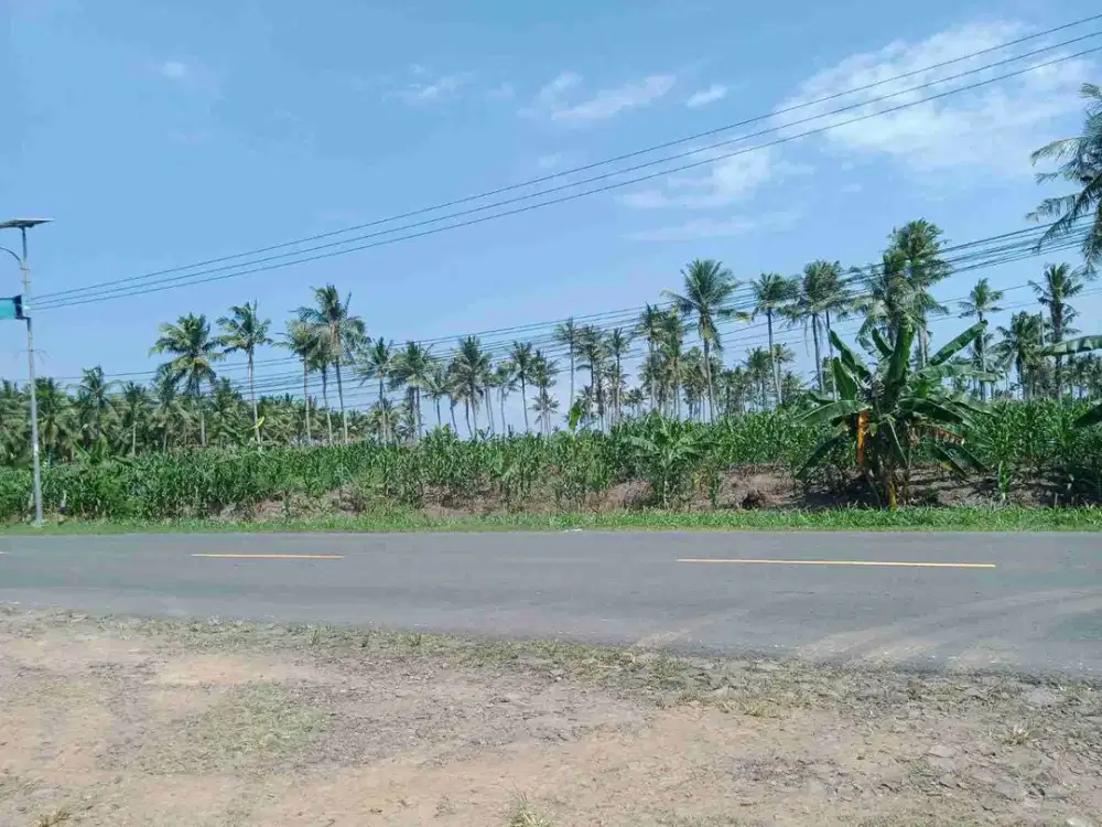 tanah 3 Ha kalianda lampung jalan lintas Sumatera