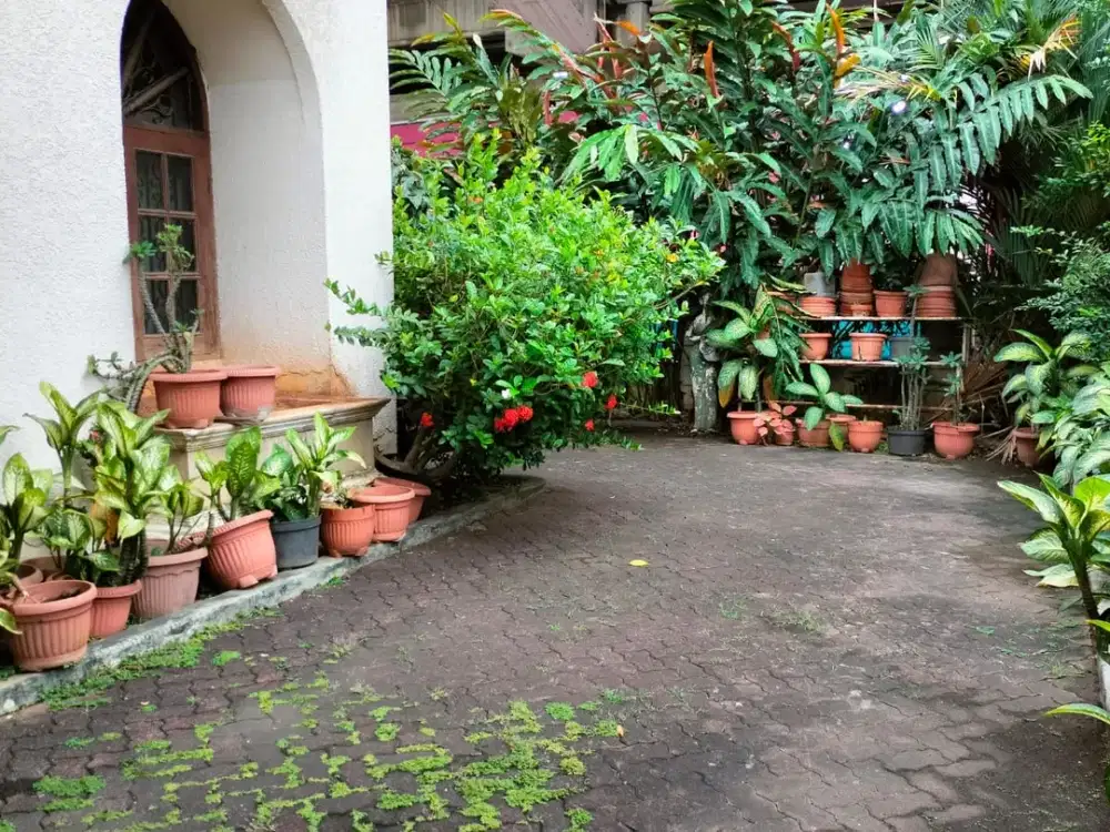 Dijual Rumah hoek Pulo Nangka - Kayu Putih. Nyaman dan teduh
