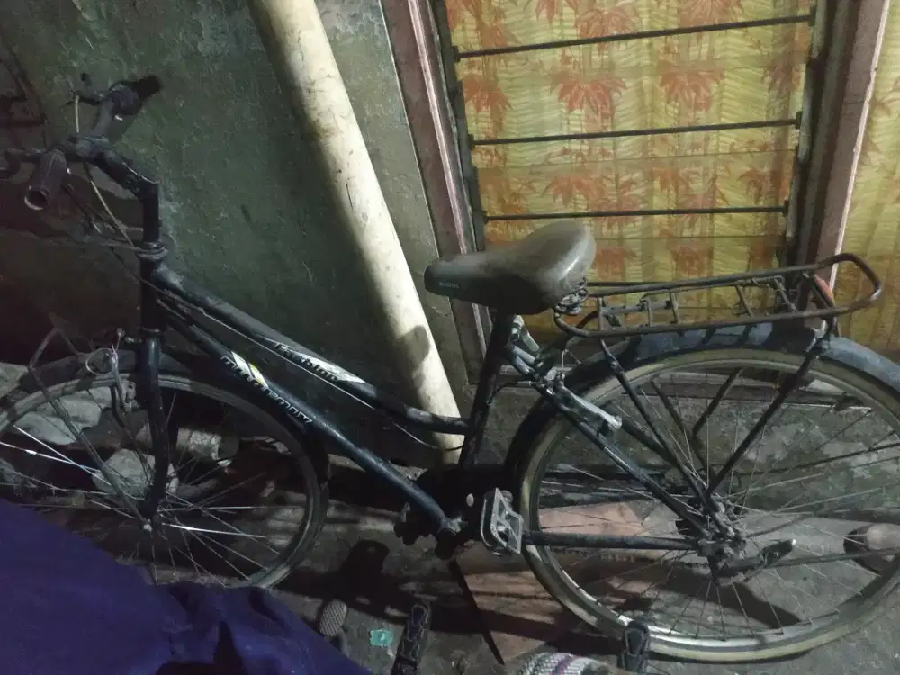 Sepeda Phoenix 26