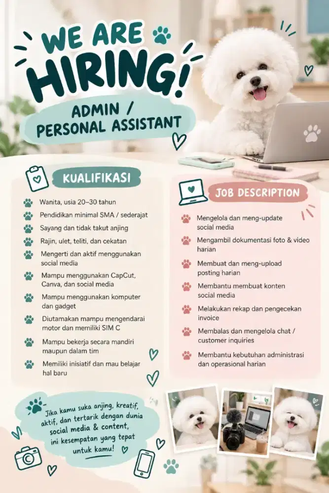 Dicari admin / personal assistant