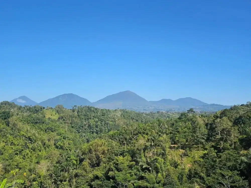 Dijual Lahan Buah Produktif Dataran Tinggi Sejuk dan View Cantik