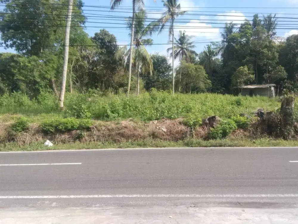 Tanah Prospektif di Bimomartani Ngemplak - Cocok untuk Investasi Jangka Panjang