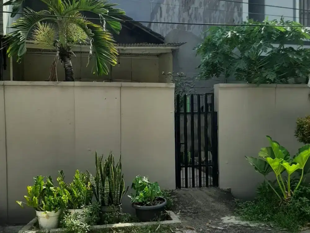 ANA RUMAH TUA HITUNG TANAH UK 6.48X19.6M LT.127M DI KOMPLEK KAVLING POLRI JELAMBAR