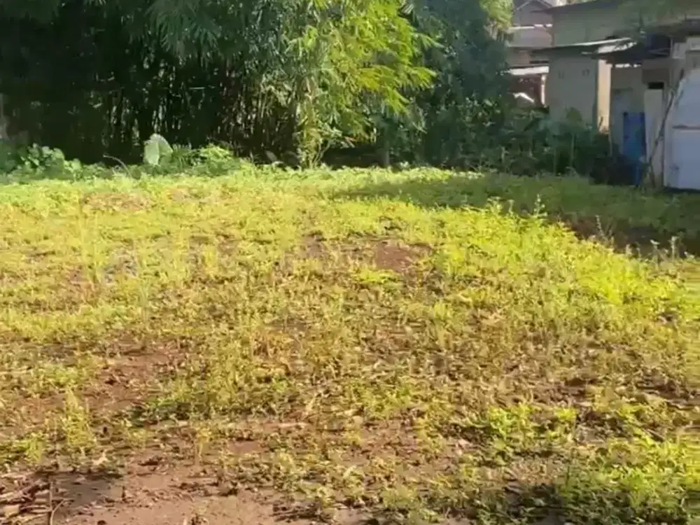Tanah Pinggir Jalan Raya Banyumas jawa Tengah,Cocok untuk Usaha