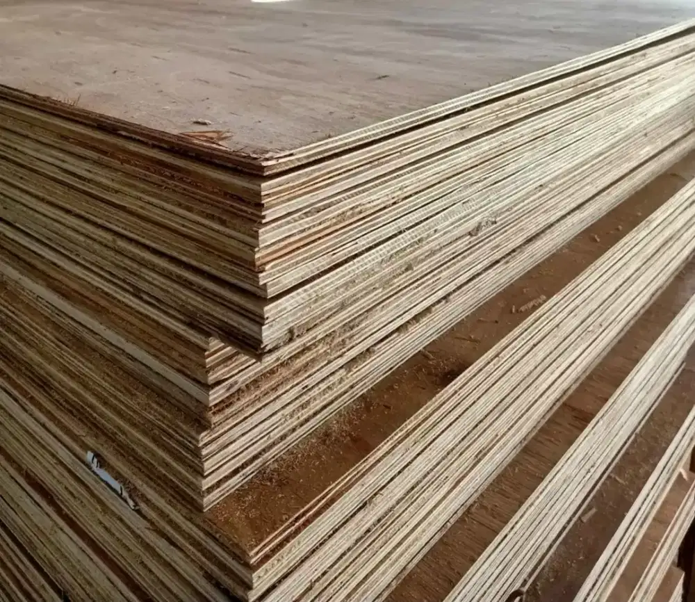 Triplex 12 mm ukuran 244 cm x 122 cm