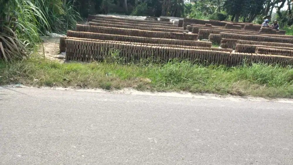 Dijual tanah jl dusun bina karya psr 5 kebun kelapa dengaan luas 236m