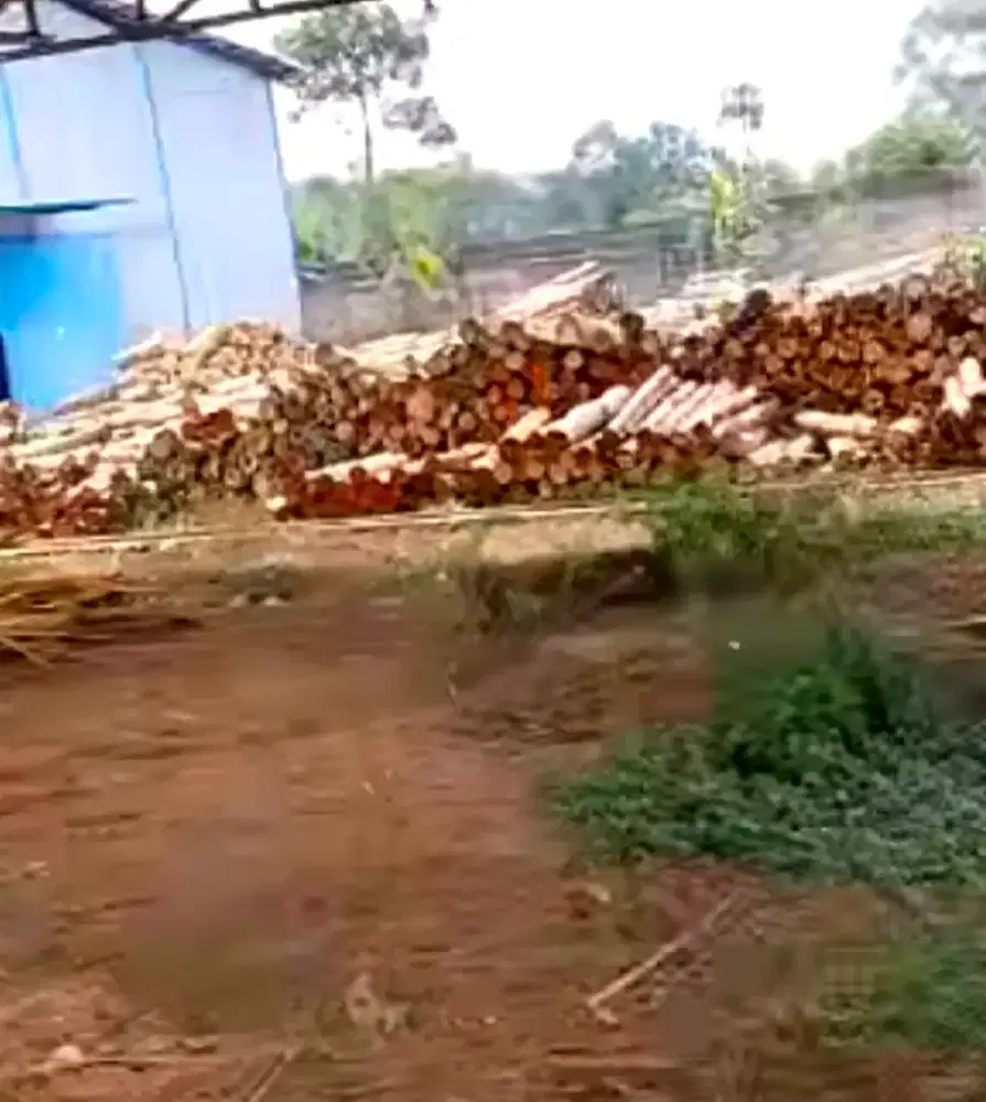 Dicari kerja vallet