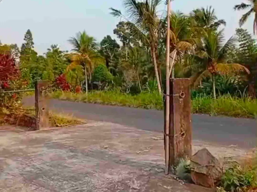 Tanah Strategis Riverside78.5 Are di Penebel Tabanan– Dekat Kawasan Wisata Jatiluwih & Batukaru