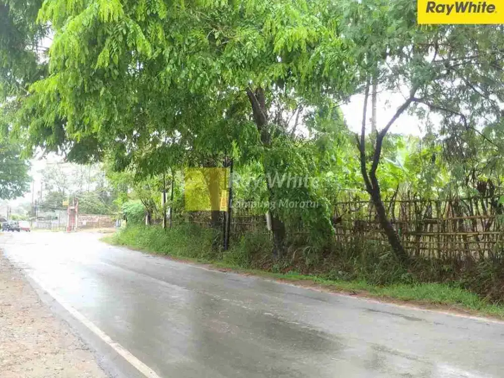 tanah 3.050 m2 jln Tirtayasa sukabumi bandar lampung