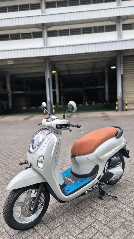 HONDA SCOOPY STYLISH