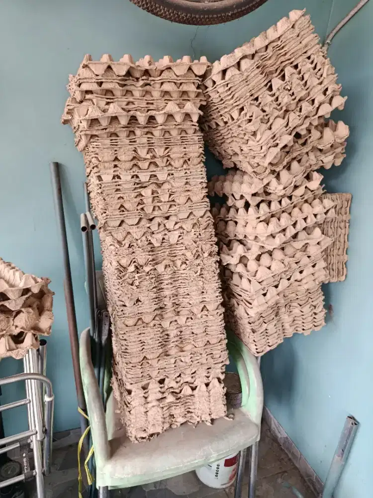Karpet telur (tray)
