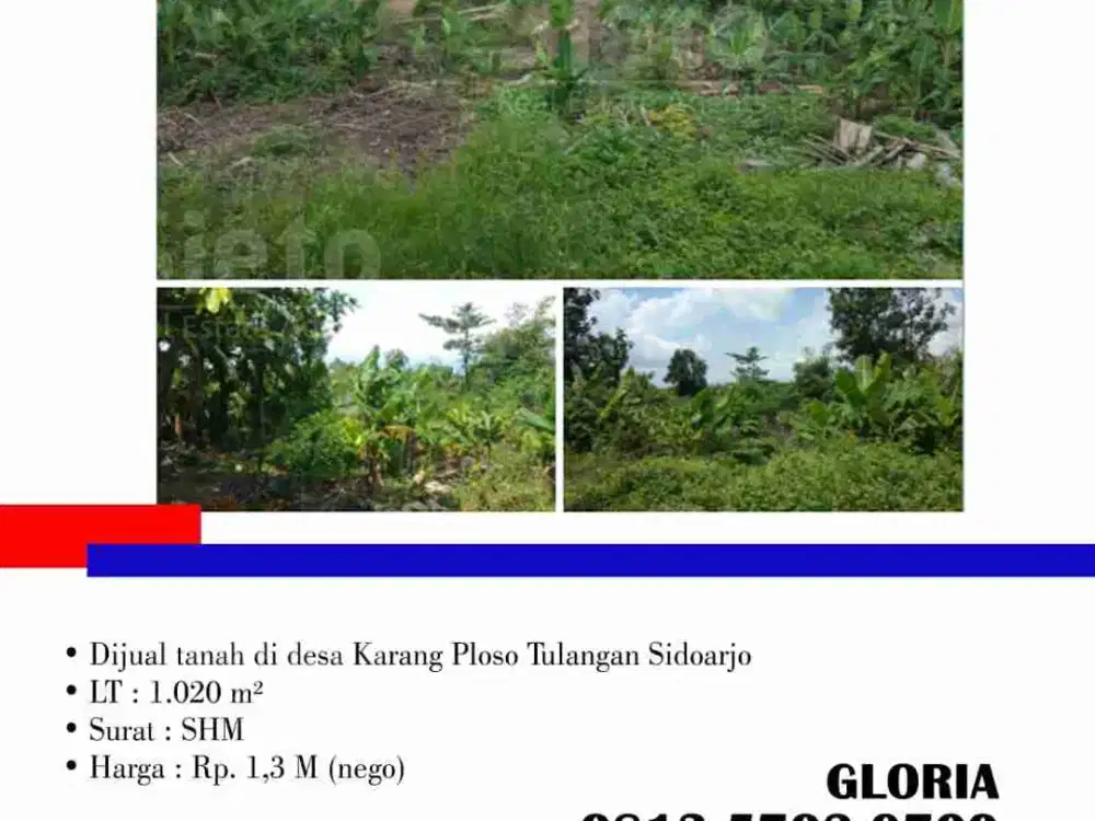 Dijual tanah di desa Karang Ploso Tulangan Sidoarjo