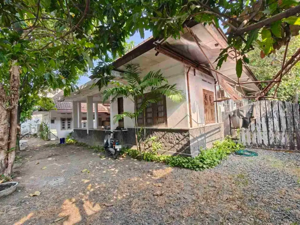 Rumah Classic Halaman Luas Tengah Kota Prospektif