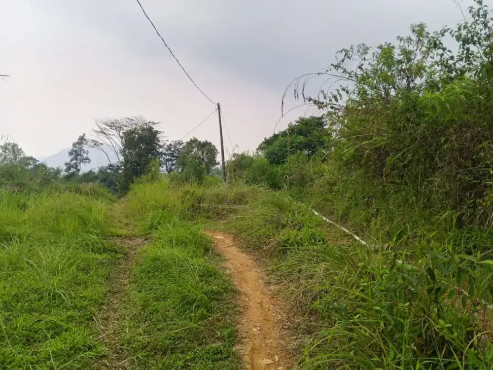 Dijual Tanah 1.700 m2 di Pinggir Jalan Raya Sukamakmur, Bogor