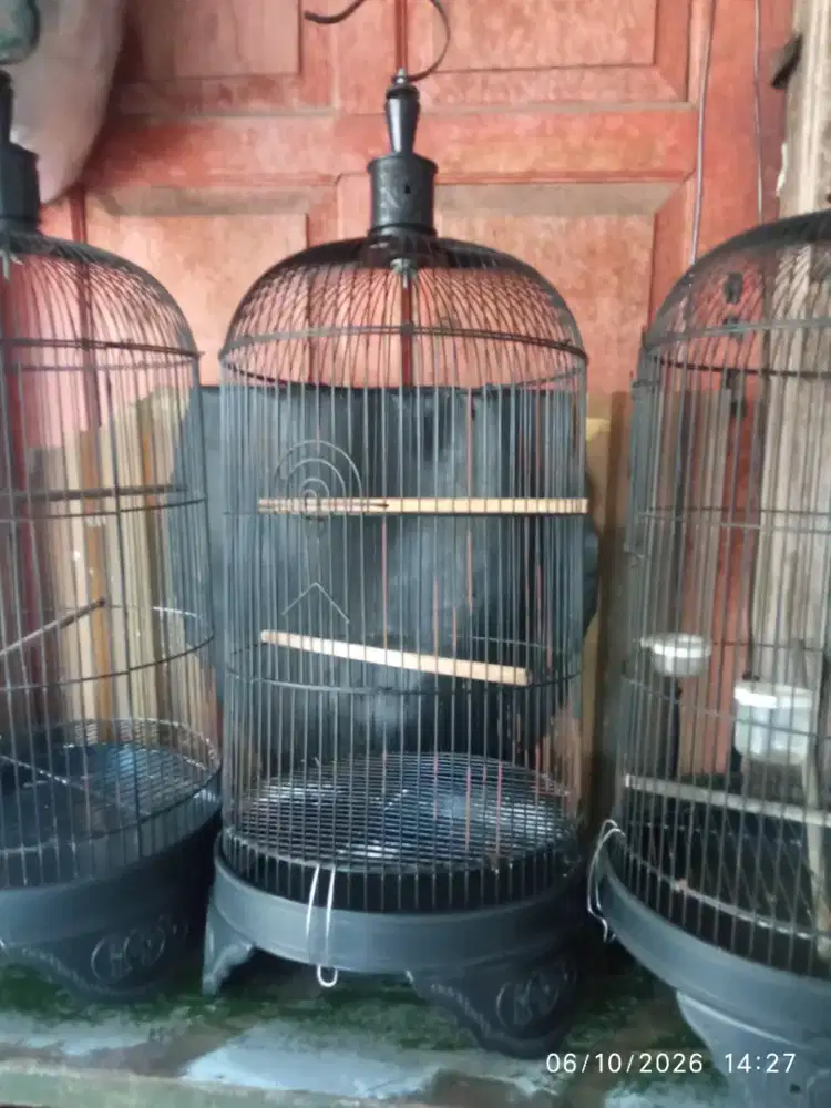 3 buah kurung burung