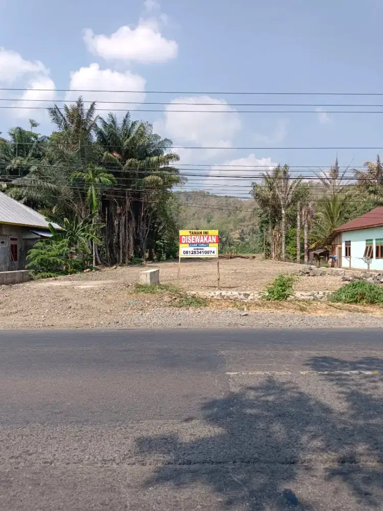Disewakan tanah kosong