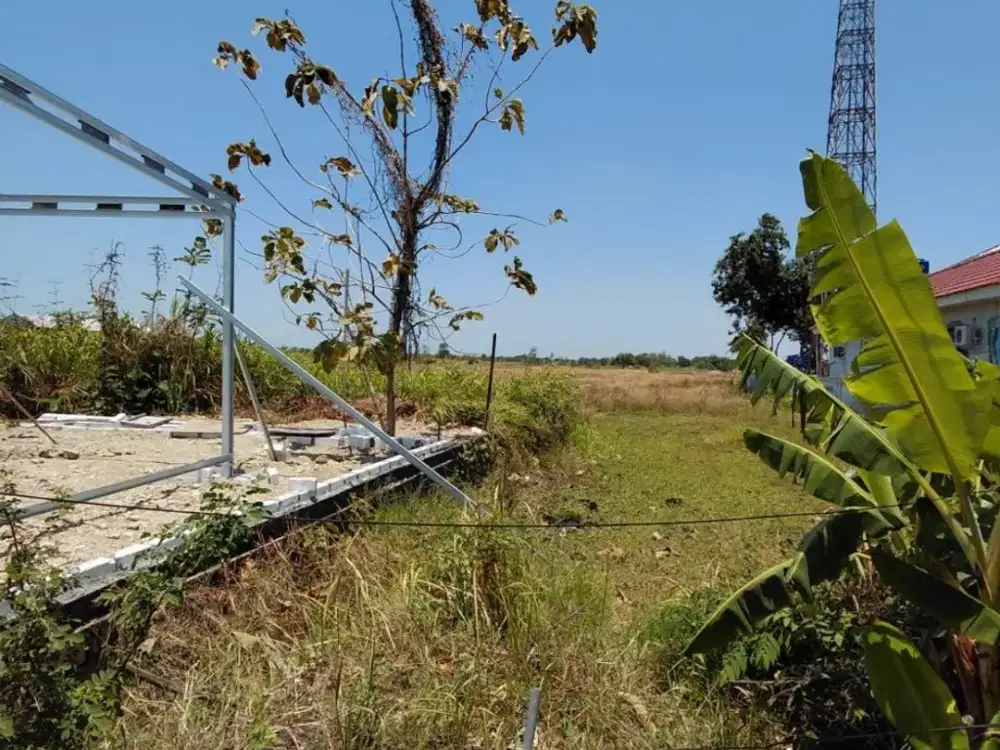 Dijual Tanah Siap Bangun di Jl Raya Munggugiarti Benjeng Gresik
