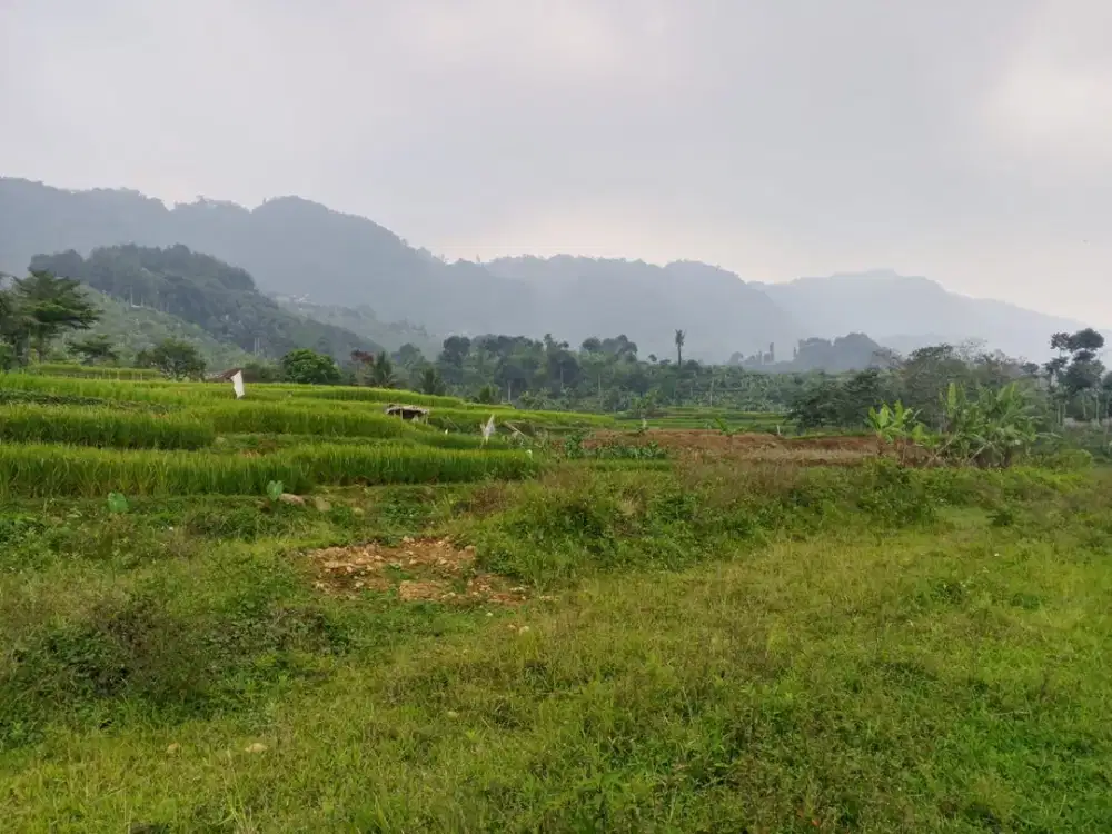 Dijual Tanah 10 Hektar di Sukamakmur, Bogor Puncak 2