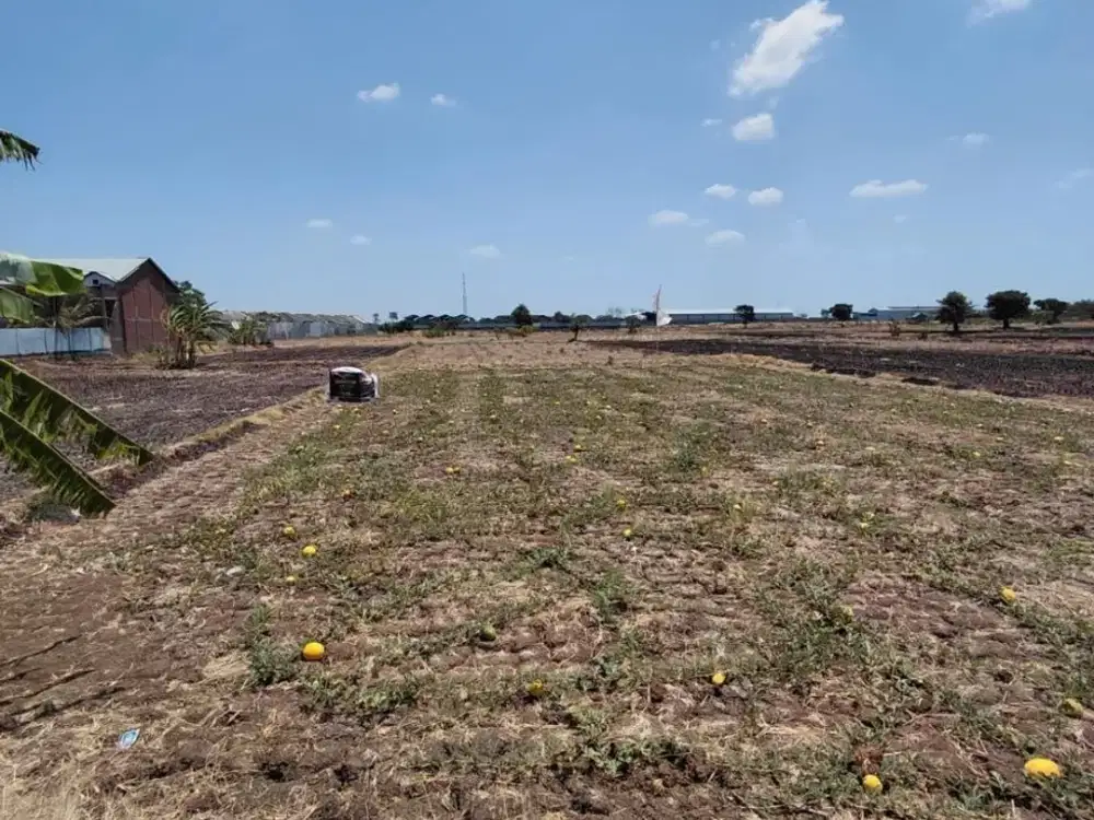 Dijual Tanah Sawah di Sekar Geneng Cerme Gresik