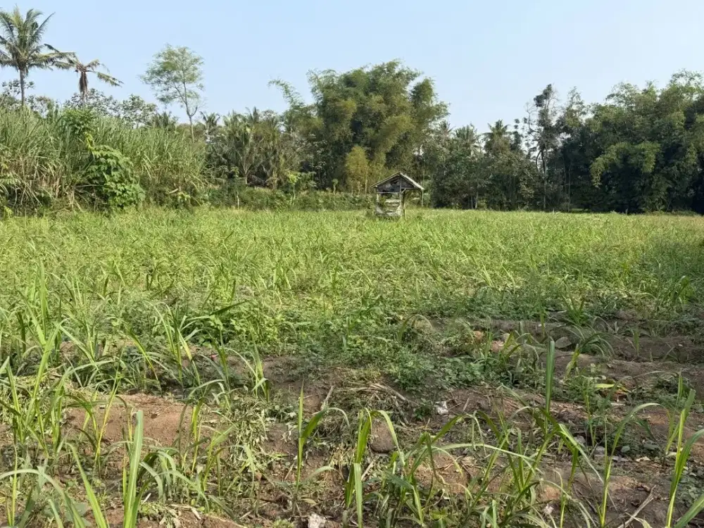 Dijual Tanah Pertanian Akses Mudah di Bululawang Malang