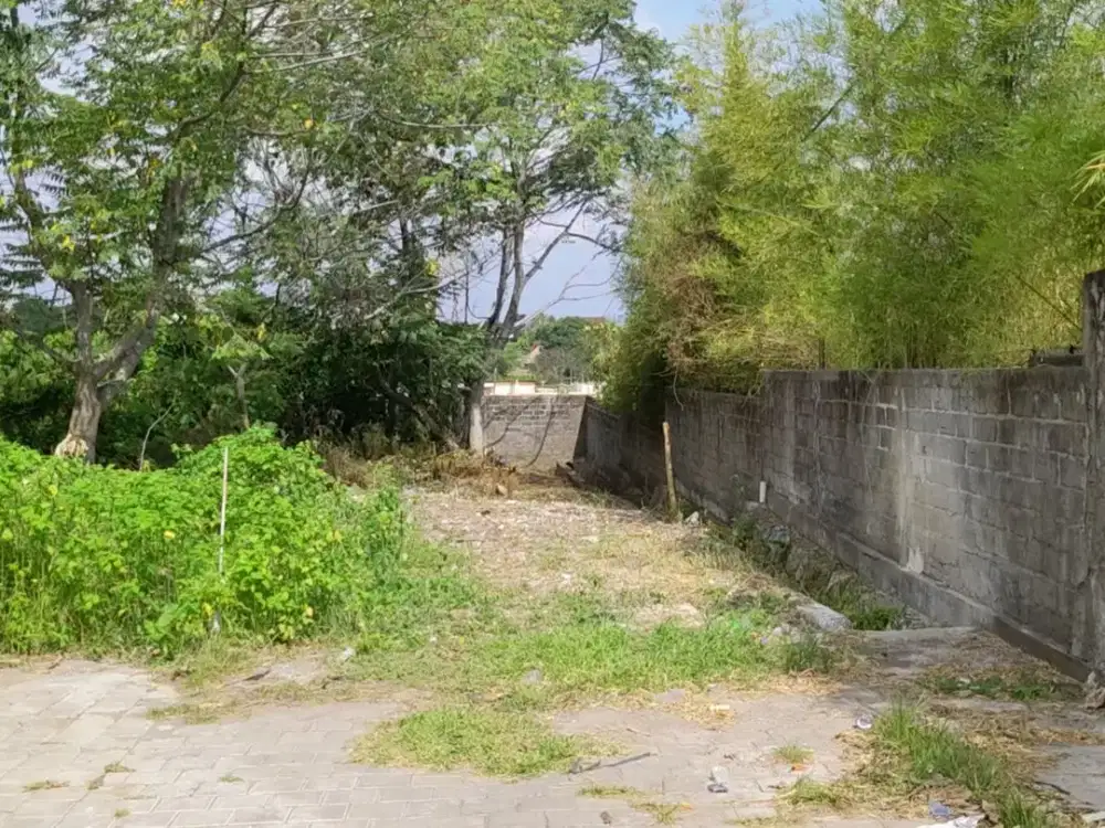 JUAL TANAH SANGAT LANGKA AT BUMBAK