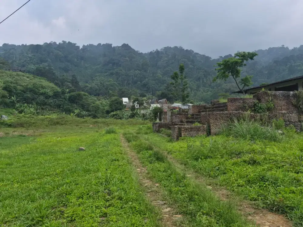 Dijual Tanah 3 Hektar di Puncak 2 Sukamakmur, Bogor