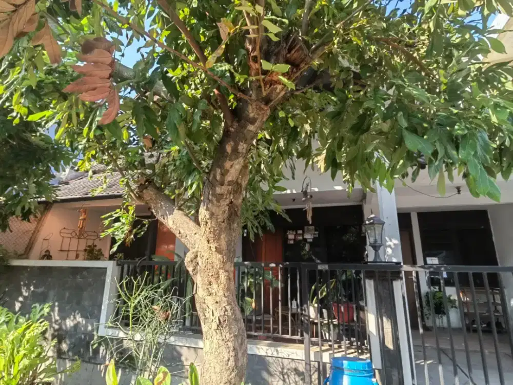 Rumah tinggal (hitung tanah) lokasi strategis dekat Poltekkes Gizi
