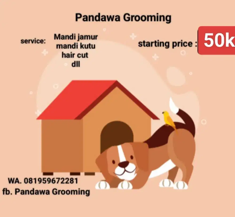 Jasa mandi anjing panggilan