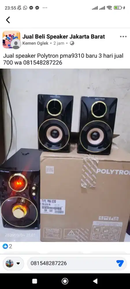 Polytron pma9310