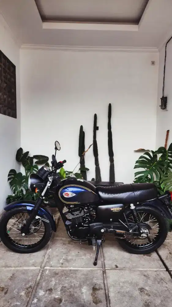 Kawasaki W175 2021