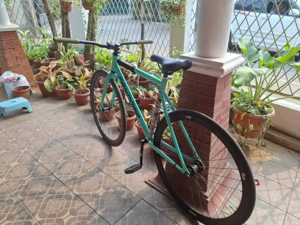 Sepeda Fixie Pandora