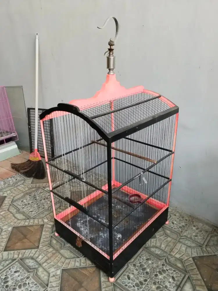 Sangkar Burung Kicau