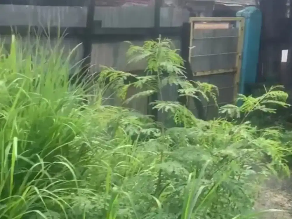 Sewa Tanah Untuk Usaha di Jl. Raya Narogong Cileungsi akses toll Bantar Gerbang