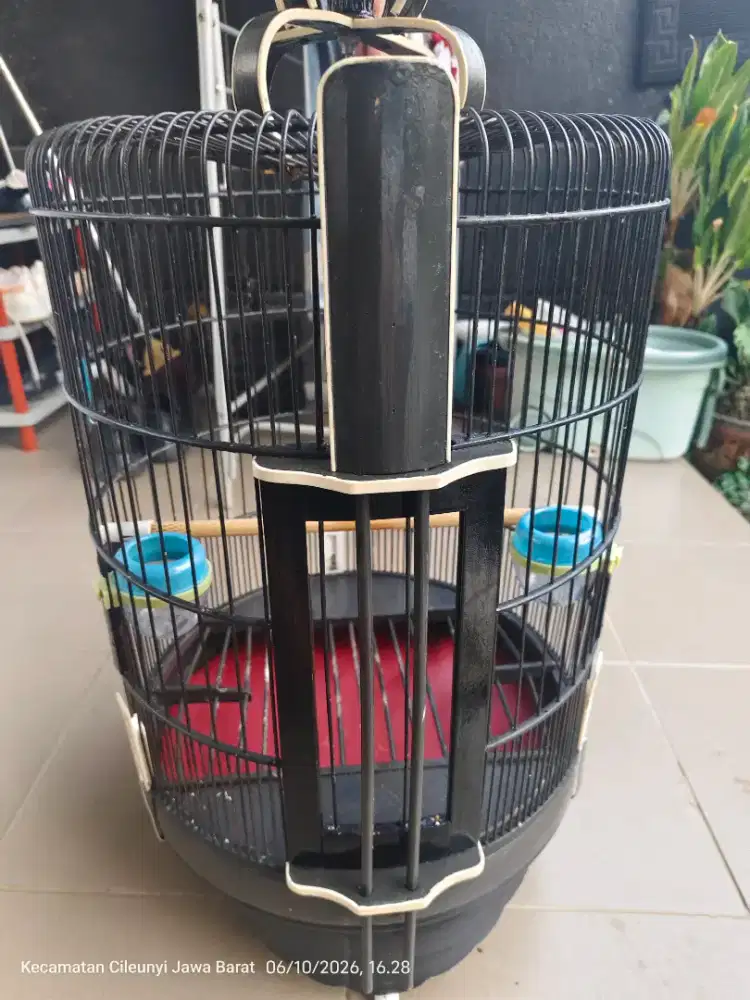 Sangkar Burung Anis