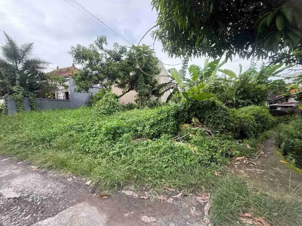 TANAH DIJUAL DI MUNGGU