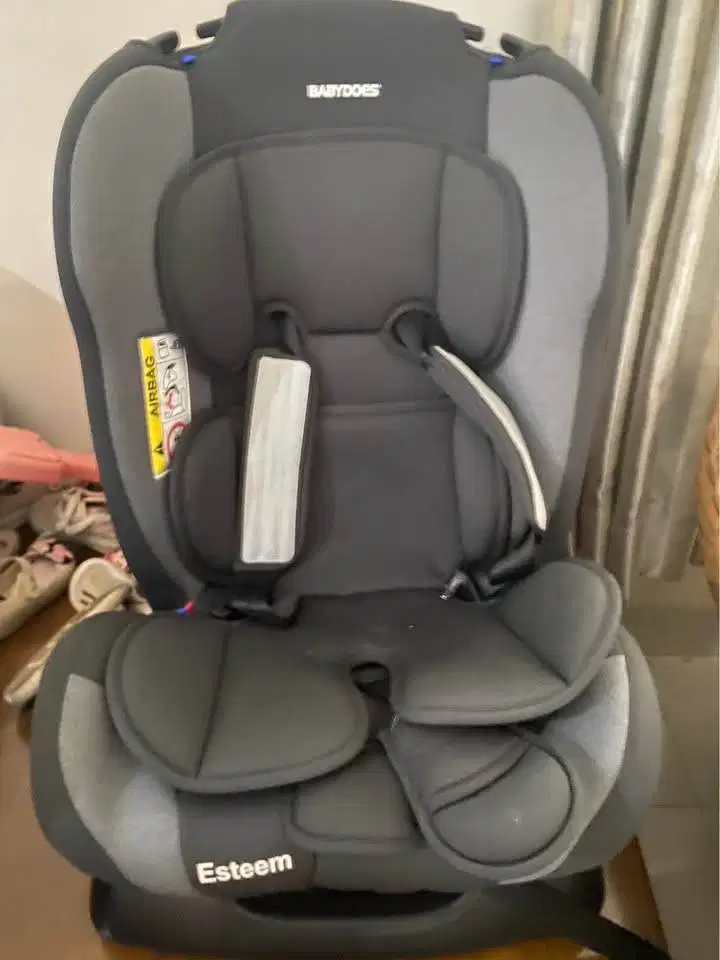 Babydoes Car Seat