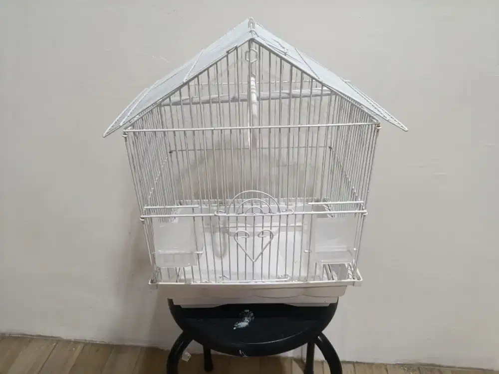 Kandang buru kecil merk ACE