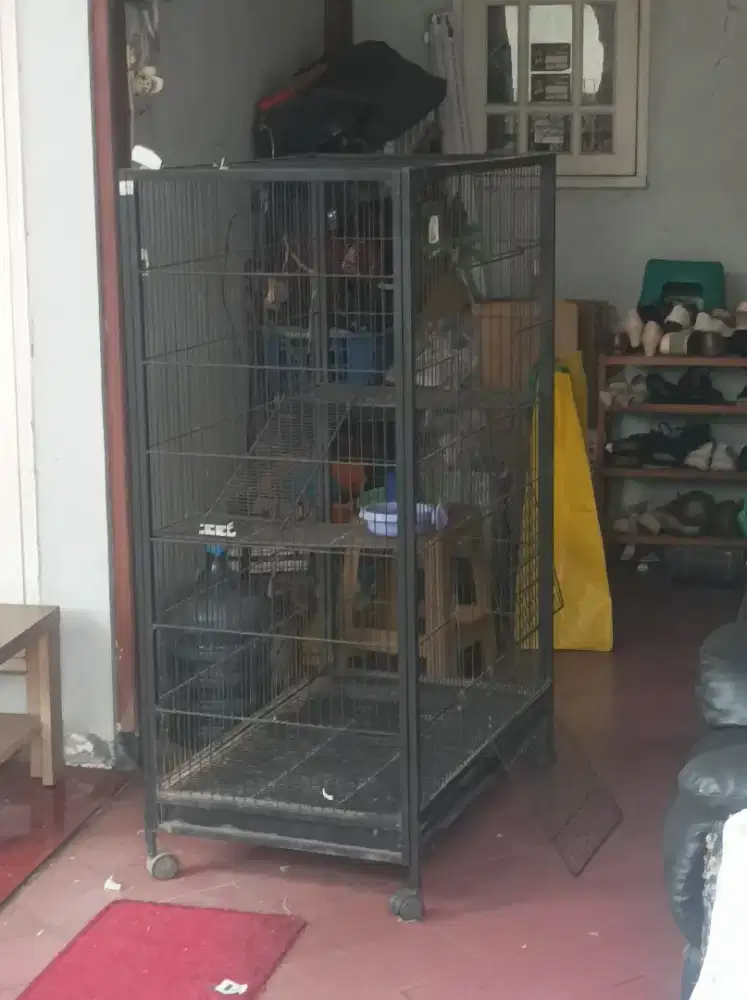 Jual kandang kucing
