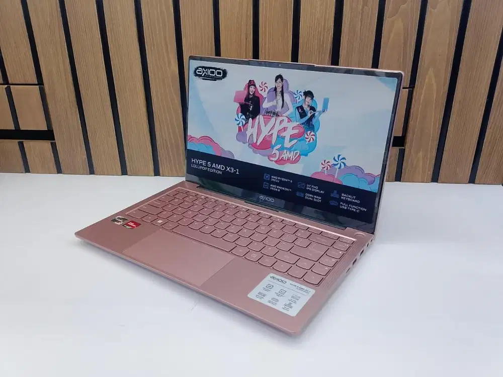 Axioo hype 5 x3 amd ryzen 5-3500 8Gb
