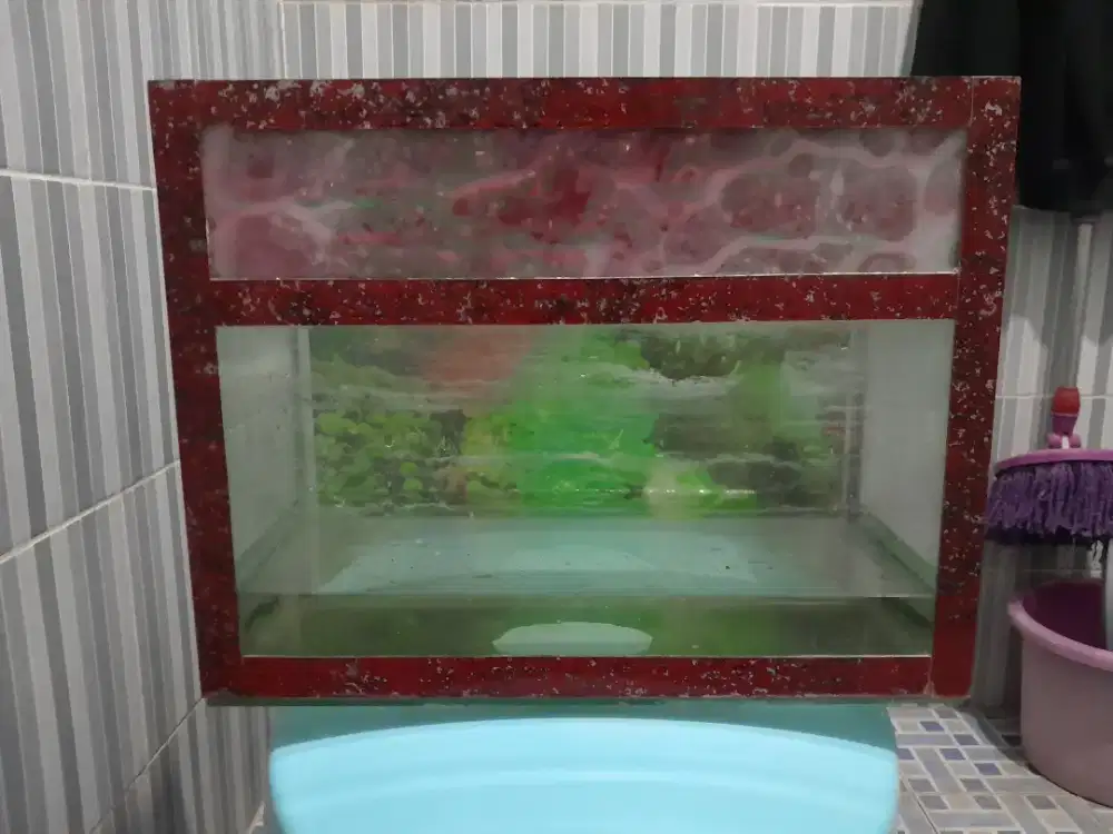 Aquarium Ikan Kaca (Bekas)